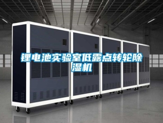 常見問題鋰電池實驗室低露點轉輪除濕機