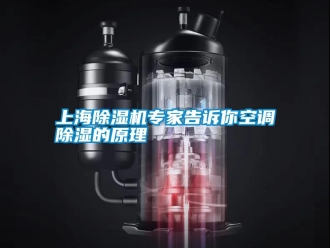 知識百科上海除濕機(jī)專家告訴你空調(diào)除濕的原理