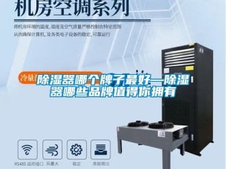 行業新聞除濕器哪個牌子最好—除濕器哪些品牌值得你擁有