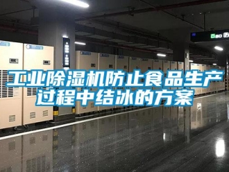 企業新聞工業除濕機防止食品生產過程中結冰的方案