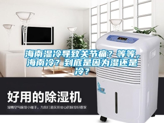 行業新聞海南濕冷導致關節痛？等等，海南冷？到底是因為濕還是冷？