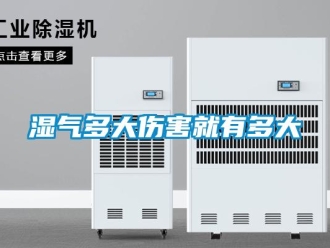 知識百科濕氣多大傷害就有多大