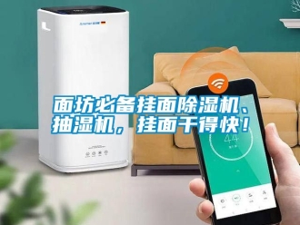 行業新聞面坊必備掛面除濕機、抽濕機，掛面干得快！