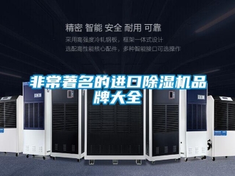 企業(yè)新聞非常著名的進口除濕機品牌大全