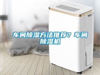 企業(yè)新聞車間除濕方法推薦？車間除濕機(jī)