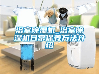 行業新聞浴室除濕機_浴室除濕機日常保養方法介紹