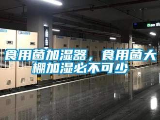 知識百科食用菌加濕器，食用菌大棚加濕必不可少