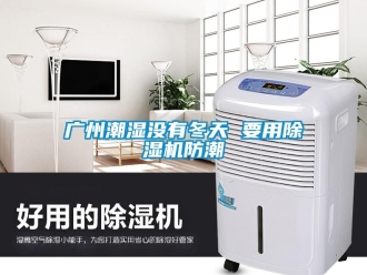 行業(yè)新聞廣州潮濕沒有冬天 要用除濕機防潮