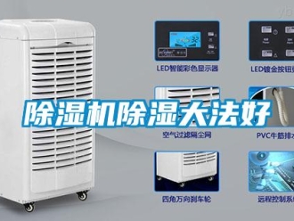 企業(yè)新聞除濕機(jī)除濕大法好