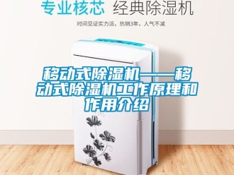 行業(yè)新聞移動(dòng)式除濕機(jī)——移動(dòng)式除濕機(jī)工作原理和作用介紹