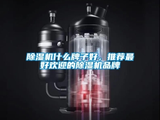企業新聞除濕機什么牌子好，推薦最好歡迎的除濕機品牌