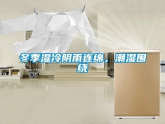 企業新聞冬季濕冷陰雨連綿，潮濕圍繞