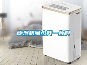 行業新聞除濕機多少錢一臺啊