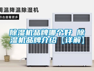 企業新聞除濕機品牌哪個好 除濕機品牌介紹【詳解】
