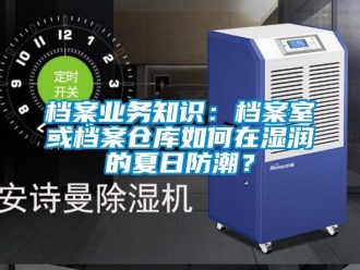 企業新聞檔案業務知識：檔案室或檔案倉庫如何在濕潤的夏日防潮？