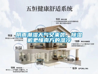 知識百科陰雨潮濕天氣又來襲，除濕機更懂南方的濕冷