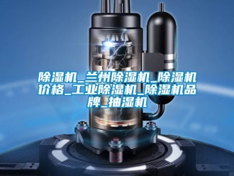 常見(jiàn)問(wèn)題除濕機(jī)_蘭州除濕機(jī)_除濕機(jī)價(jià)格_工業(yè)除濕機(jī)_除濕機(jī)品牌_抽濕機(jī)