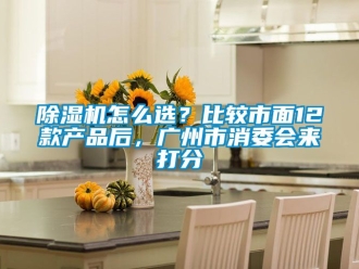 行業(yè)新聞除濕機怎么選？比較市面12款產(chǎn)品后，廣州市消委會來打分
