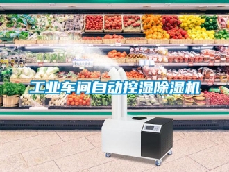 企業新聞工業車間自動控濕除濕機