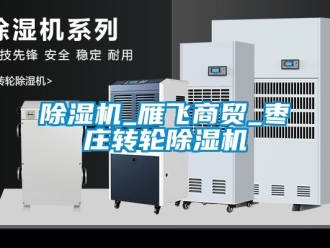 常見(jiàn)問(wèn)題除濕機(jī)_雁飛商貿(mào)_棗莊轉(zhuǎn)輪除濕機(jī)