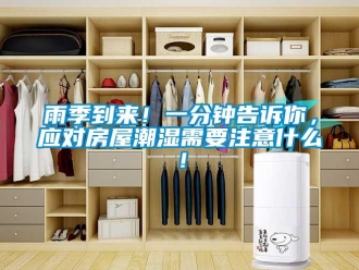 知識(shí)百科雨季到來！一分鐘告訴你，應(yīng)對(duì)房屋潮濕需要注意什么！
