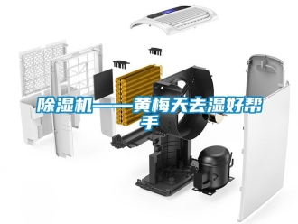 行業(yè)新聞除濕機——黃梅天去濕好幫手