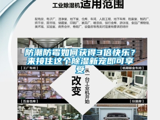 常見問題防潮防霉如何獲得3倍快樂？來接住這個除濕新寵即可享受
