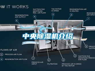 知識(shí)百科中央除濕機(jī)介紹