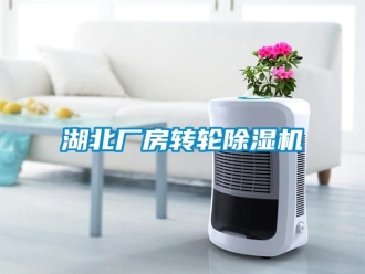 常見問題湖北廠房轉輪除濕機