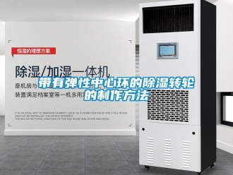 常見問題帶有彈性中心環(huán)的除濕轉(zhuǎn)輪的制作方法
