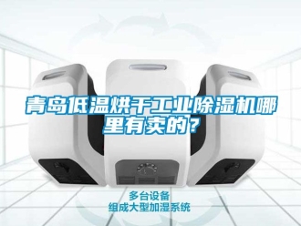 常見問題青島低溫烘干工業除濕機哪里有賣的？