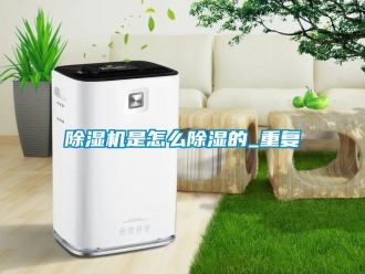 行業新聞除濕機是怎么除濕的_重復