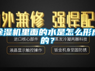 行業新聞除濕機里面的水是怎么形成的？