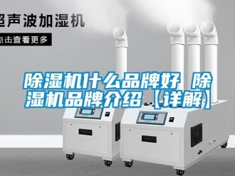 企業新聞除濕機什么品牌好 除濕機品牌介紹【詳解】