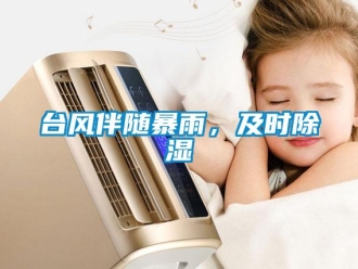 知識百科臺風伴隨暴雨，及時除濕