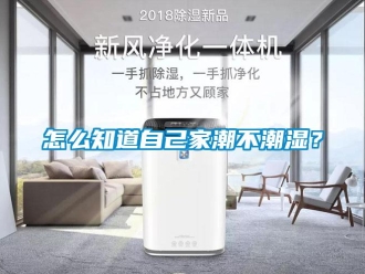 常見問題怎么知道自己家潮不潮濕？