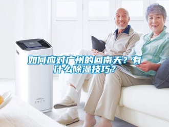 常見問題如何應對廣州的回南天？有什么除濕技巧？