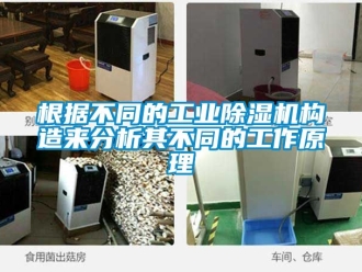 常見問題根據(jù)不同的工業(yè)除濕機(jī)構(gòu)造來分析其不同的工作原理