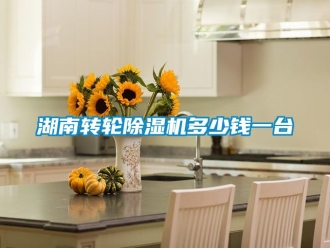 常見問題湖南轉輪除濕機多少錢一臺
