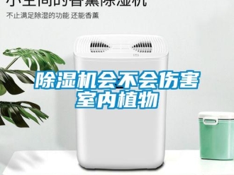 常見問題除濕機(jī)會不會傷害室內(nèi)植物