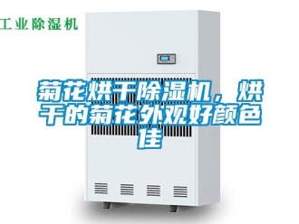 行業(yè)新聞菊花烘干除濕機，烘干的菊花外觀好顏色佳