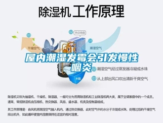 知識百科屋內潮濕發霉會引發慢性咽炎