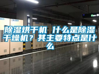 企業新聞除濕烘干機 什么是除濕干燥機？其主要特點是什么