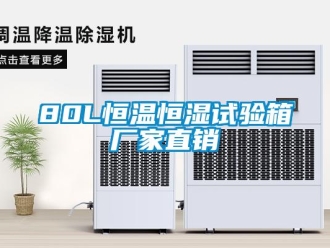 常見問題80L恒溫恒濕試驗箱廠家直銷