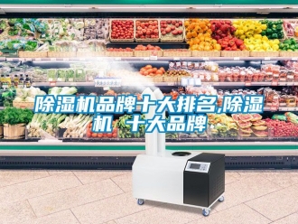企業新聞除濕機品牌十大排名,除濕機 十大品牌