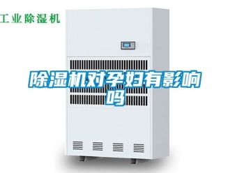行業新聞除濕機對孕婦有影響嗎