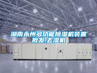 行業新聞湖南永州多功能除濕機裝置批發,去濕機