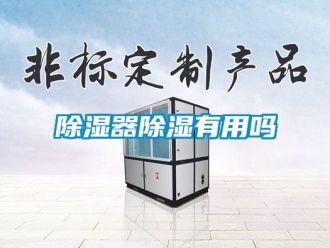 行業新聞除濕器除濕有用嗎