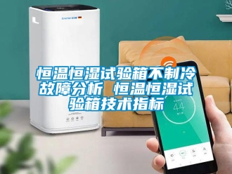 知識百科恒溫恒濕試驗(yàn)箱不制冷故障分析 恒溫恒濕試驗(yàn)箱技術(shù)指標(biāo)