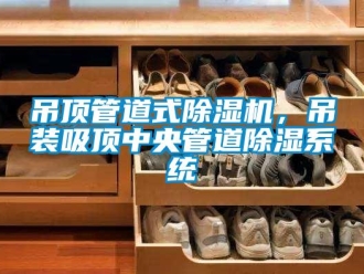 企業新聞吊頂管道式除濕機，吊裝吸頂中央管道除濕系統